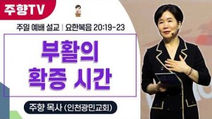 부활의 확증 시간 / 26-04-12